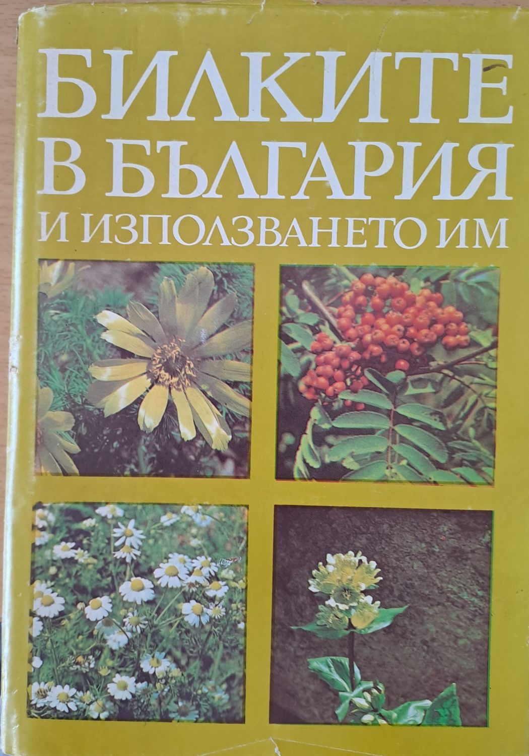 Билките в България и използването им Билките в България и използването им