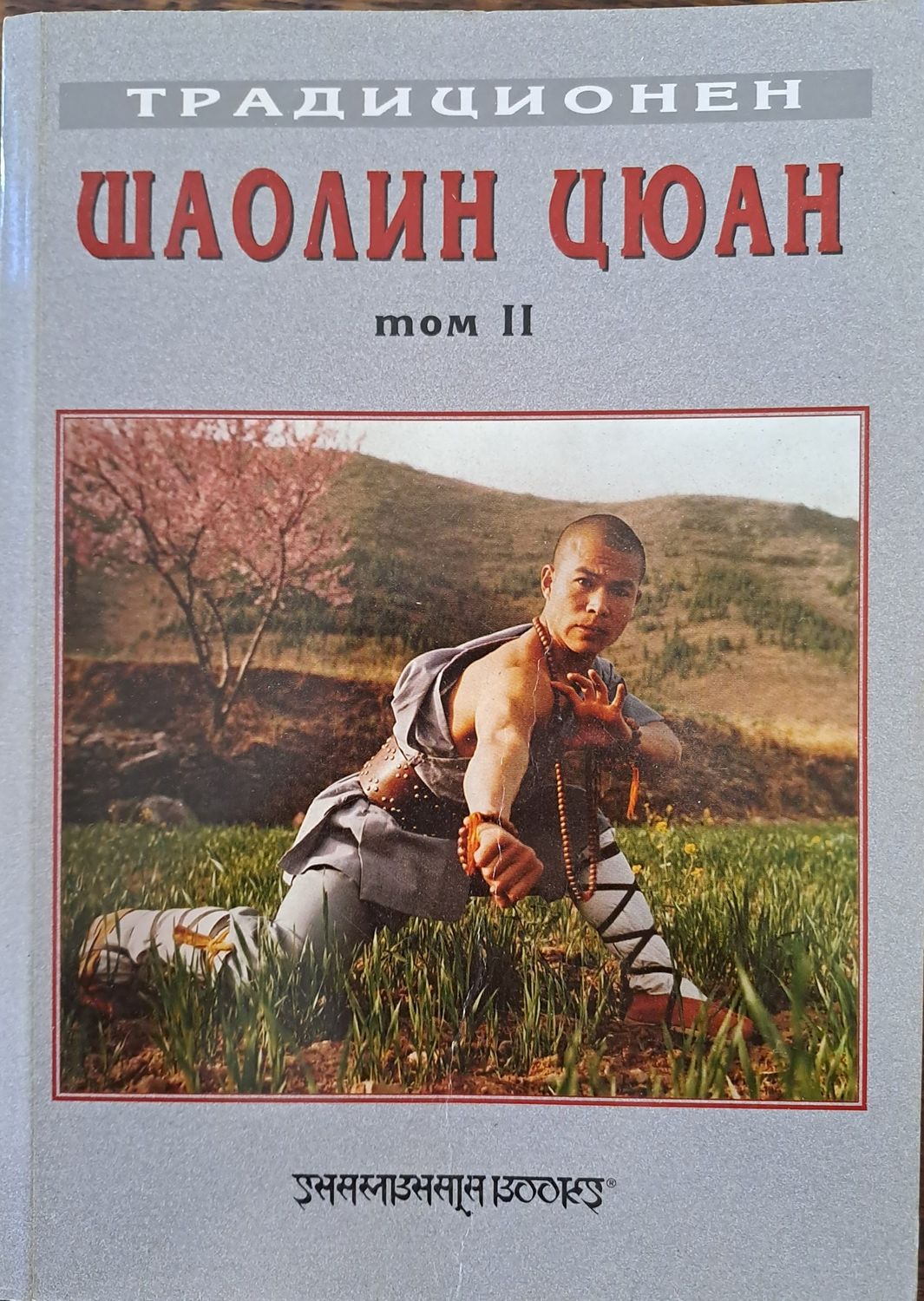 Традиционен шаолин цюан