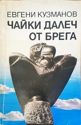 Чайки далeч от брега