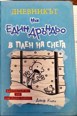 Дневникът на един Дръндьо. В плен на снега