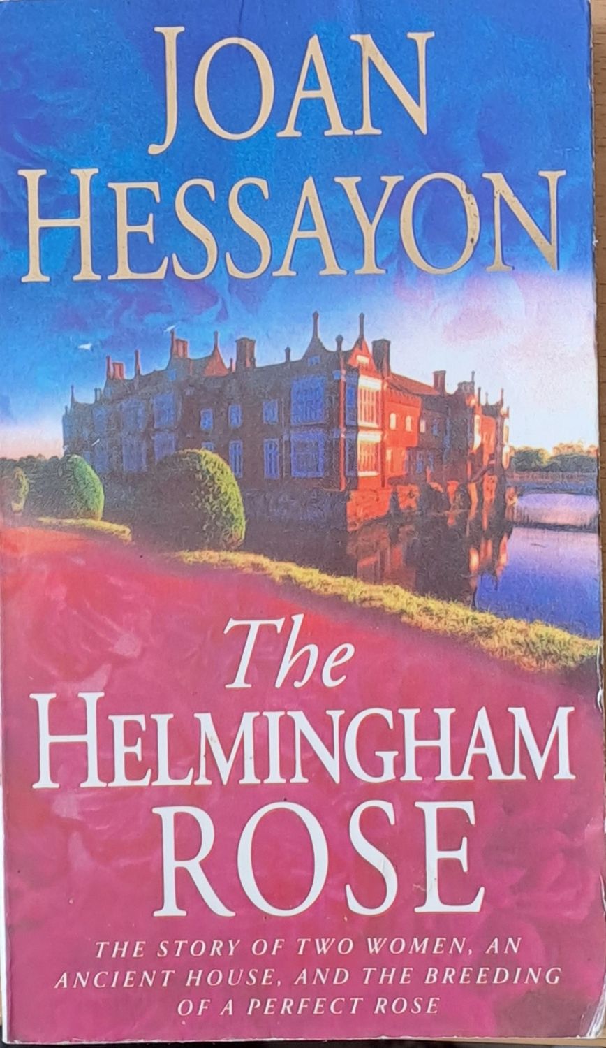 The Helmingham rose