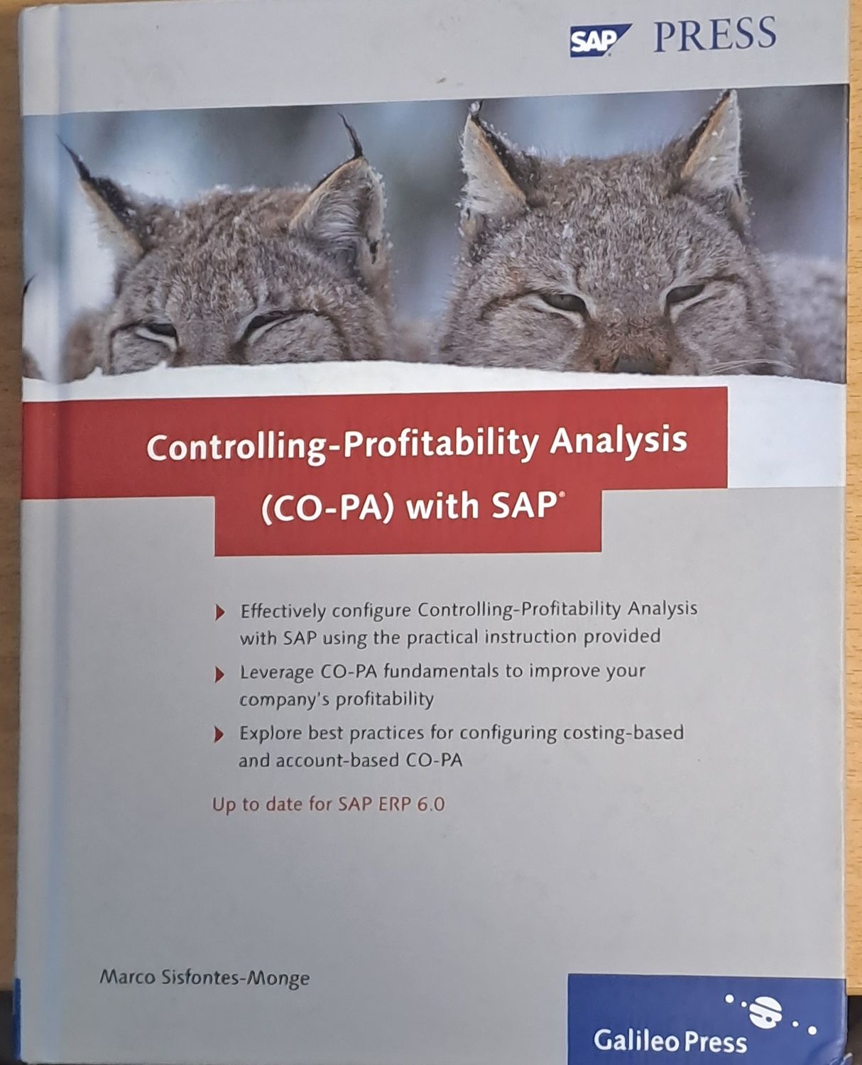 Controlling-Profitability Analysis (CO-PA) with SAP Controlling-Profitability Analysis (CO-PA) with SAP