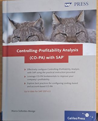 Controlling-Profitability Analysis (CO-PA) with SAP
