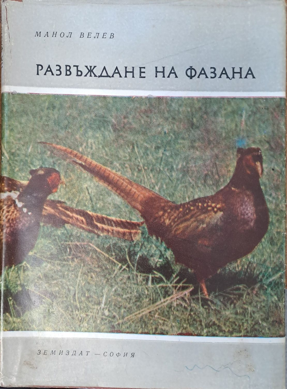 Развъждане на фазана