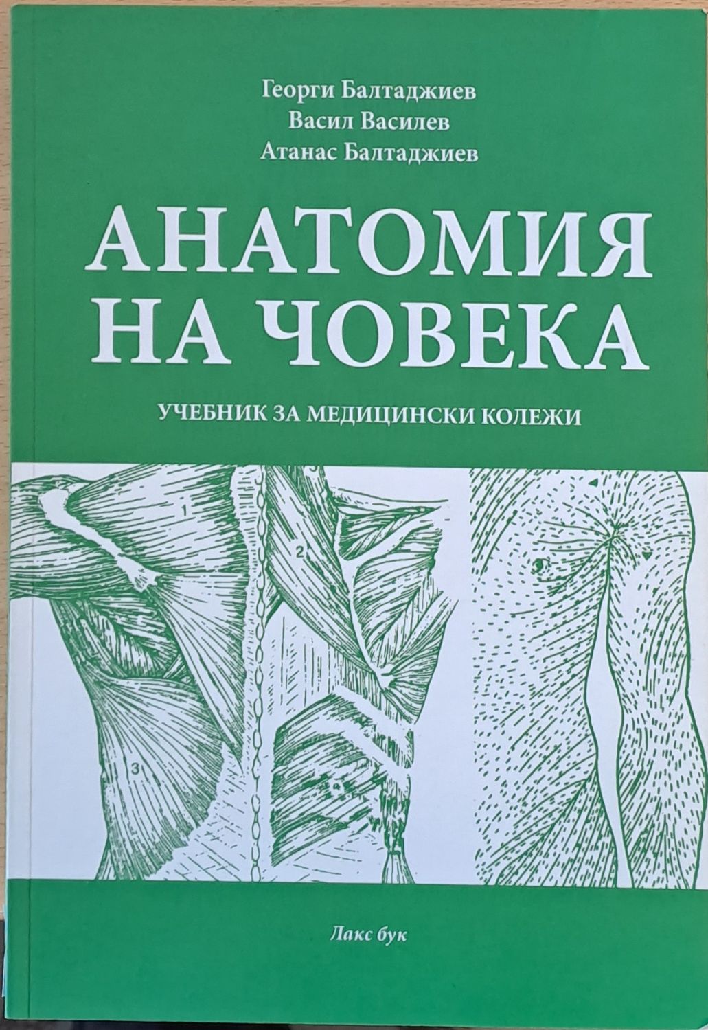 Анатомия на човека