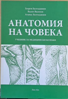 Анатомия на човека