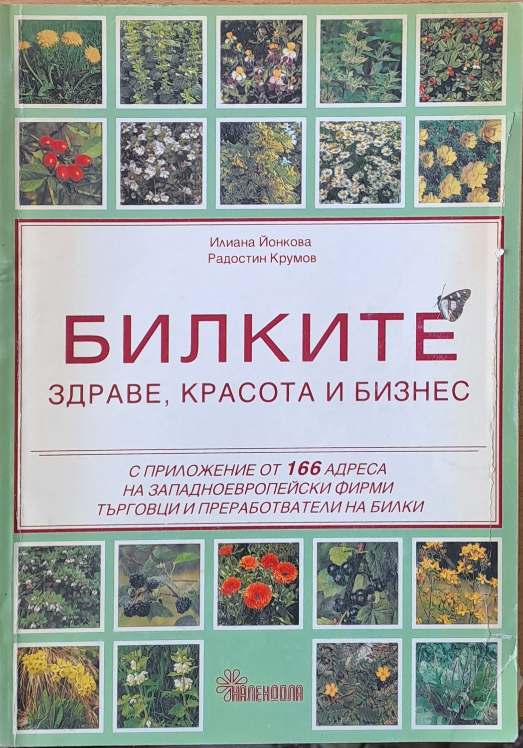 Билките - здраве, красота и бизнес