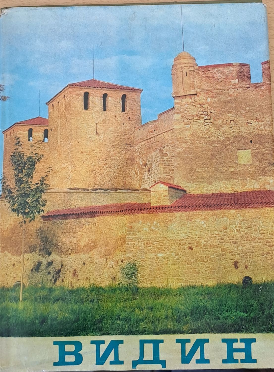 Видин