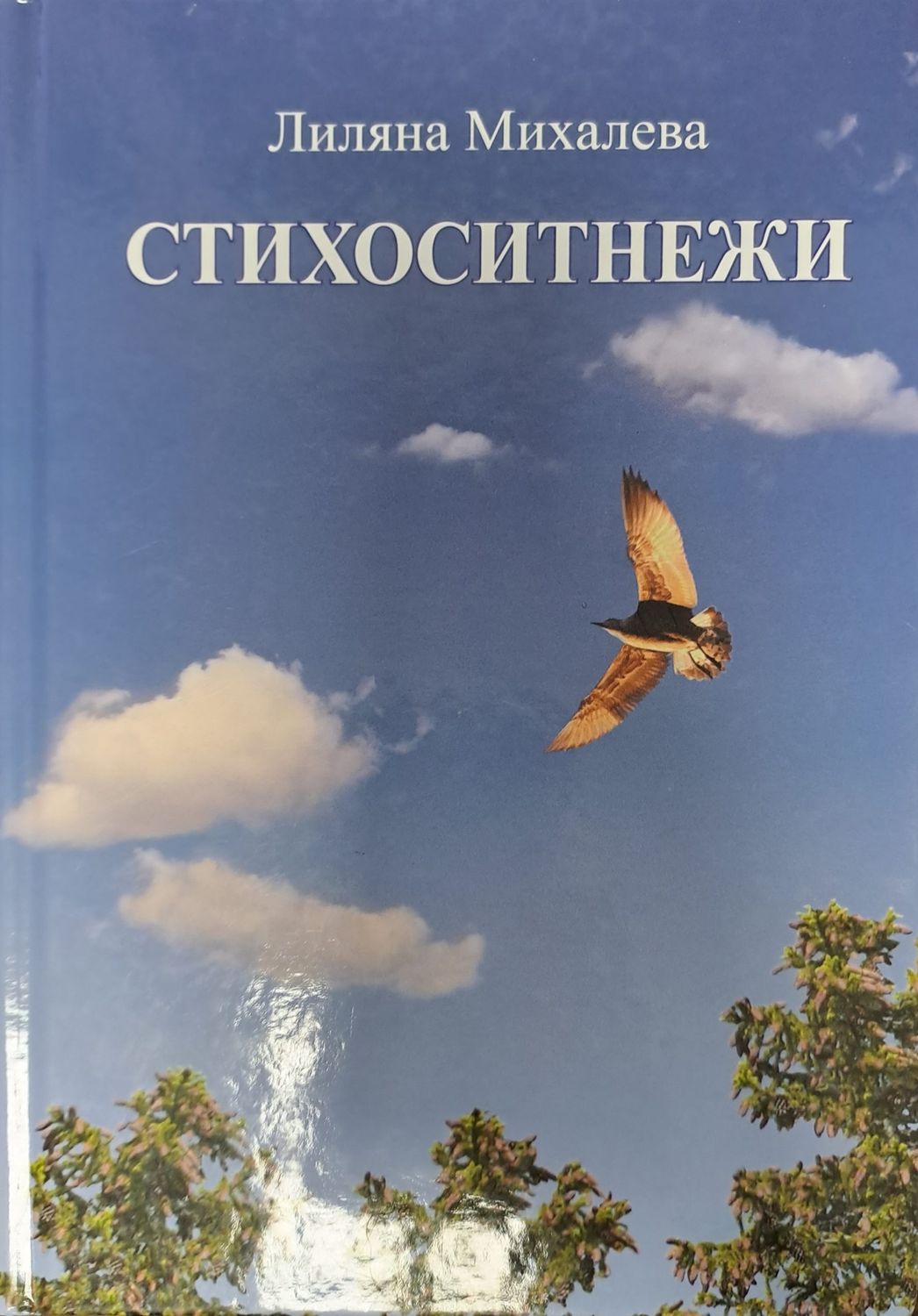 Стихоситнежки