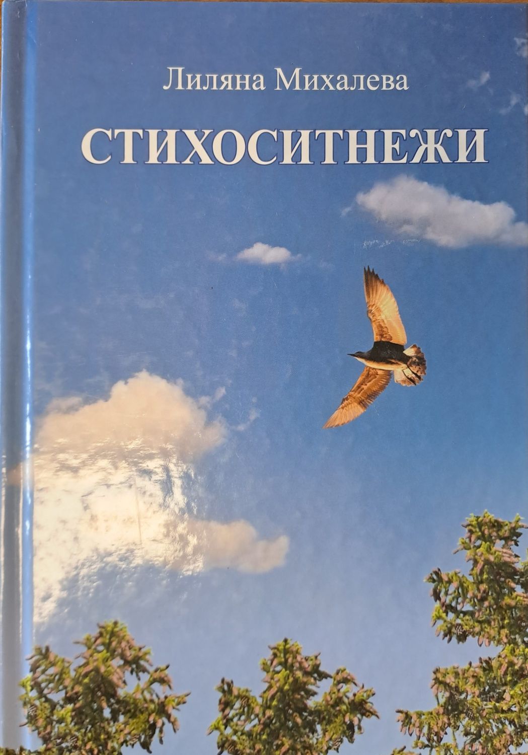Стихоситнежи