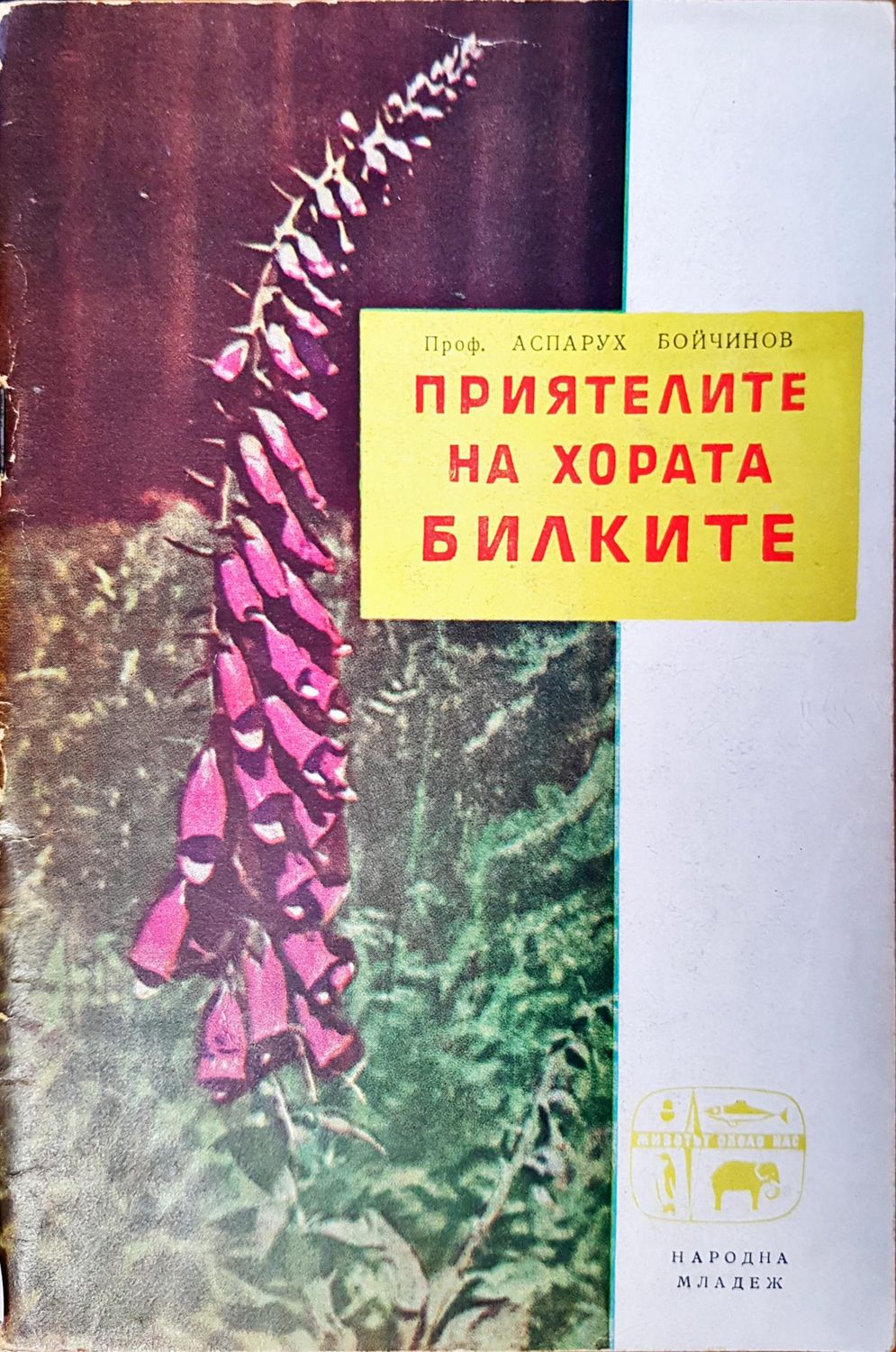 Приятелите на хората - билките