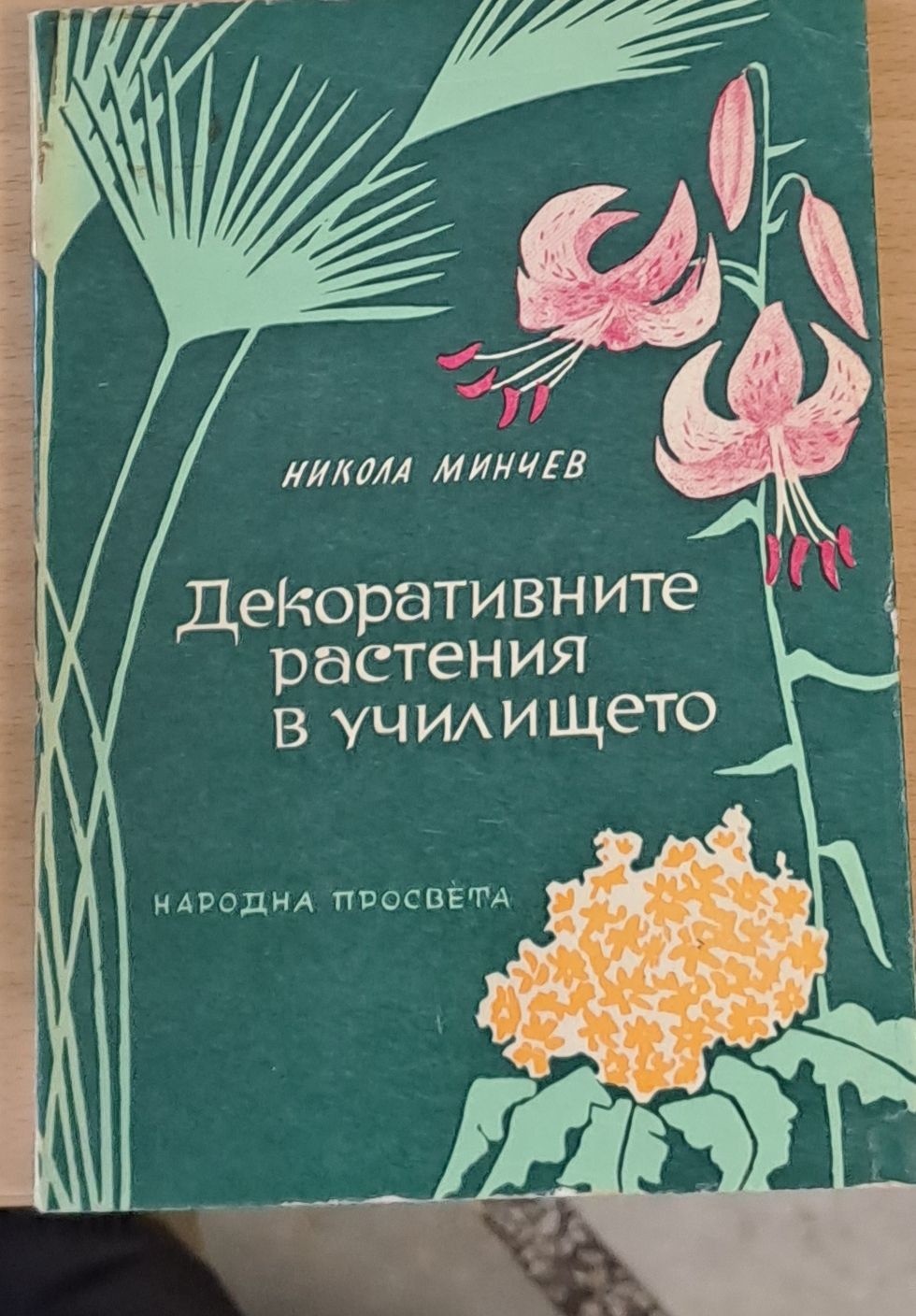Декоративните растения в училището