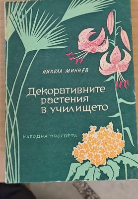 Декоративните растения в училището