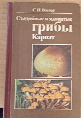 Съедобные и ядовитые грибы Карпат