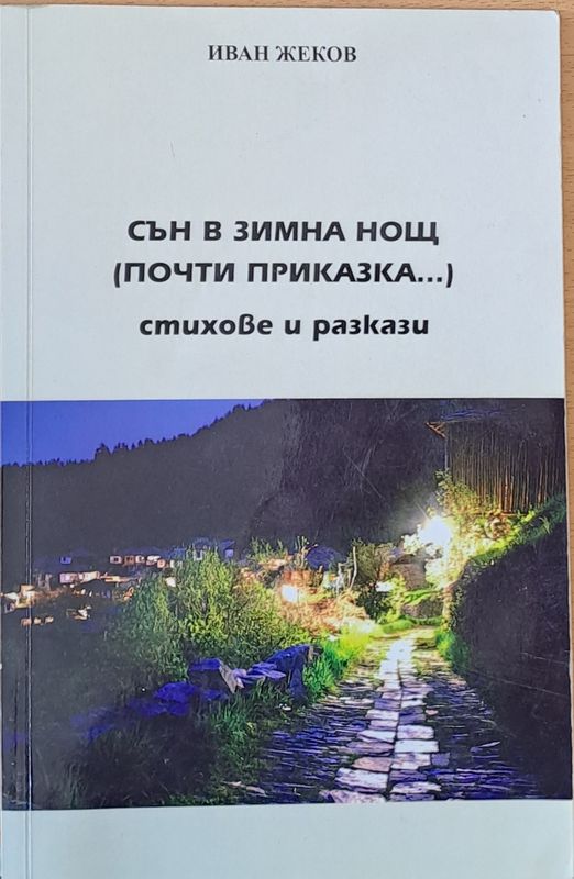 Сън в зимна нощ (почти приказка...)