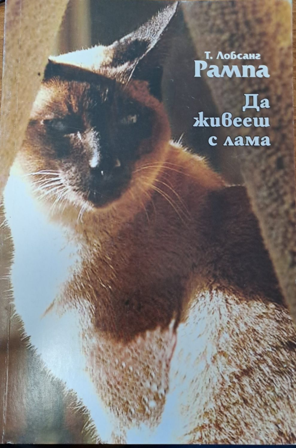 Да живееш с лама