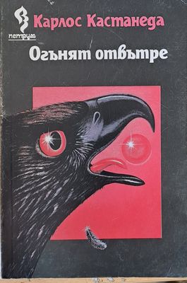 Огънят отвътре