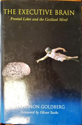 The executive brain