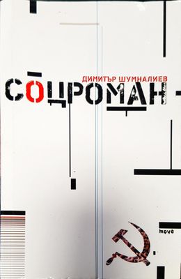 Соцроман