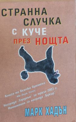 Странна случка с куче през нощта