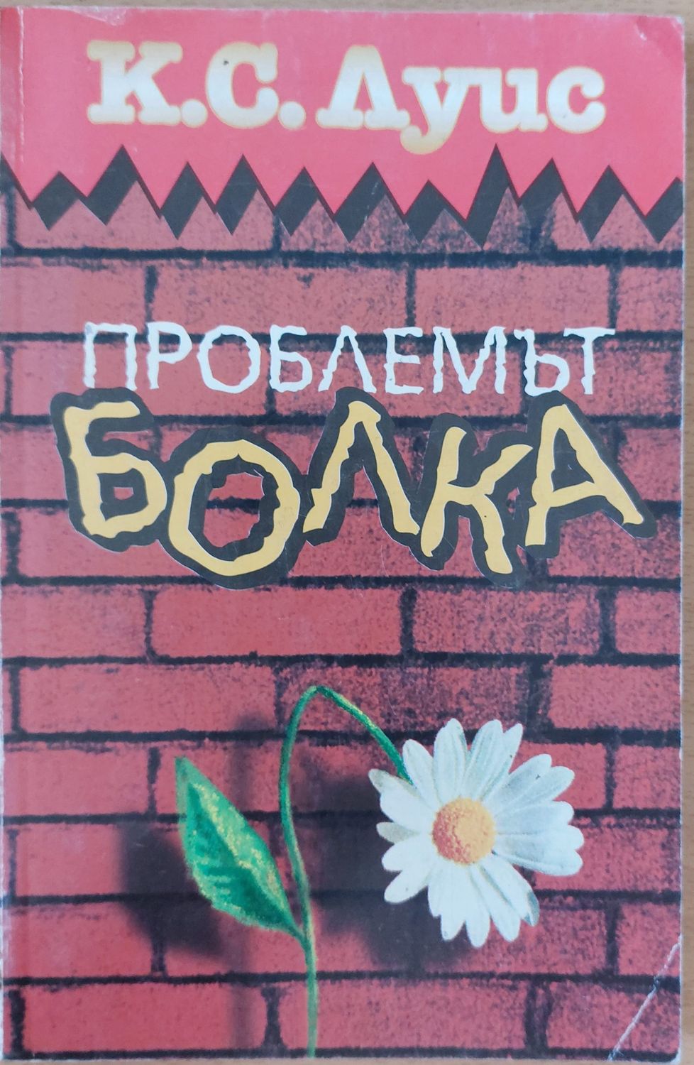 Проблемът болка