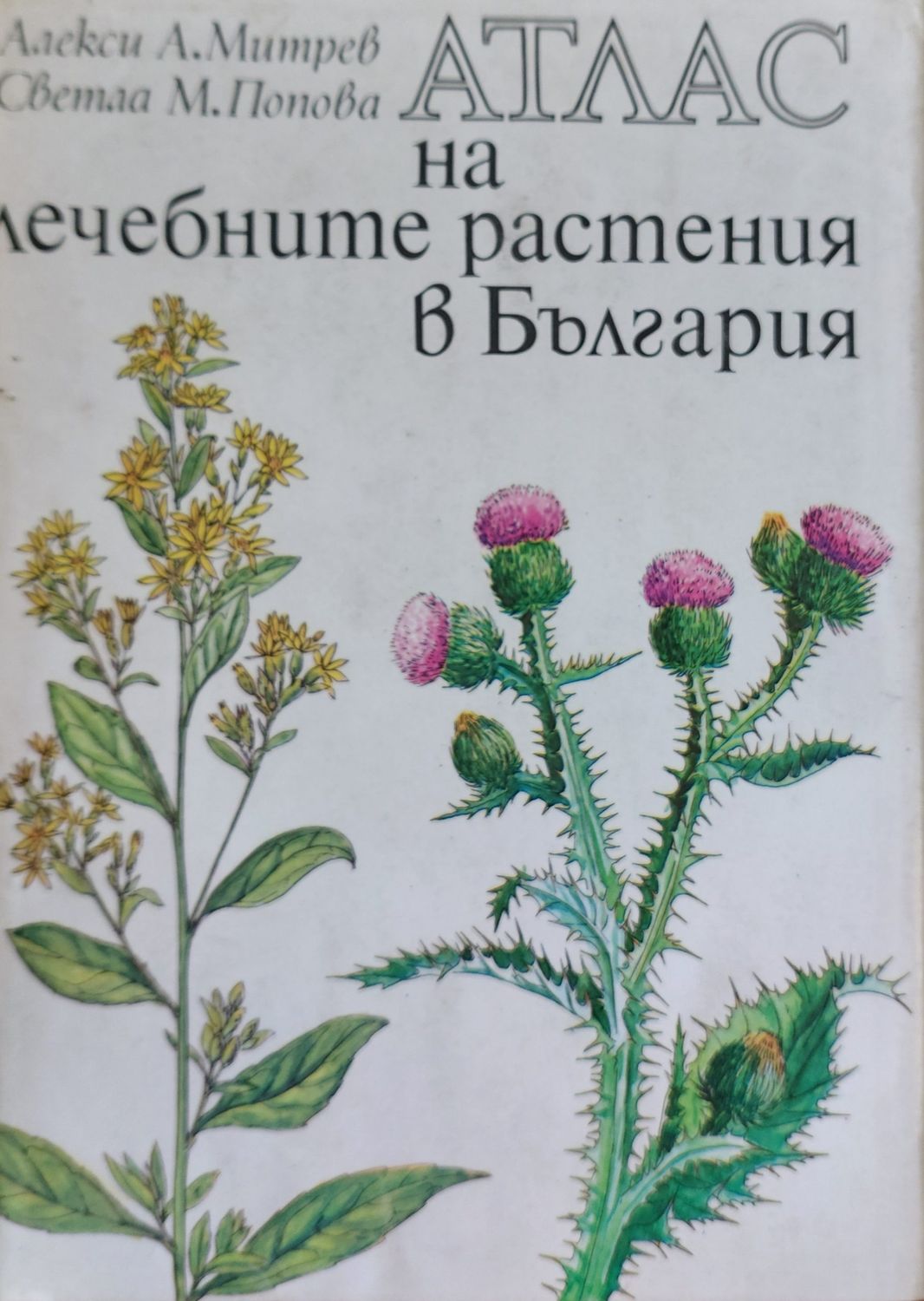 Атлас на лечебните растения в България