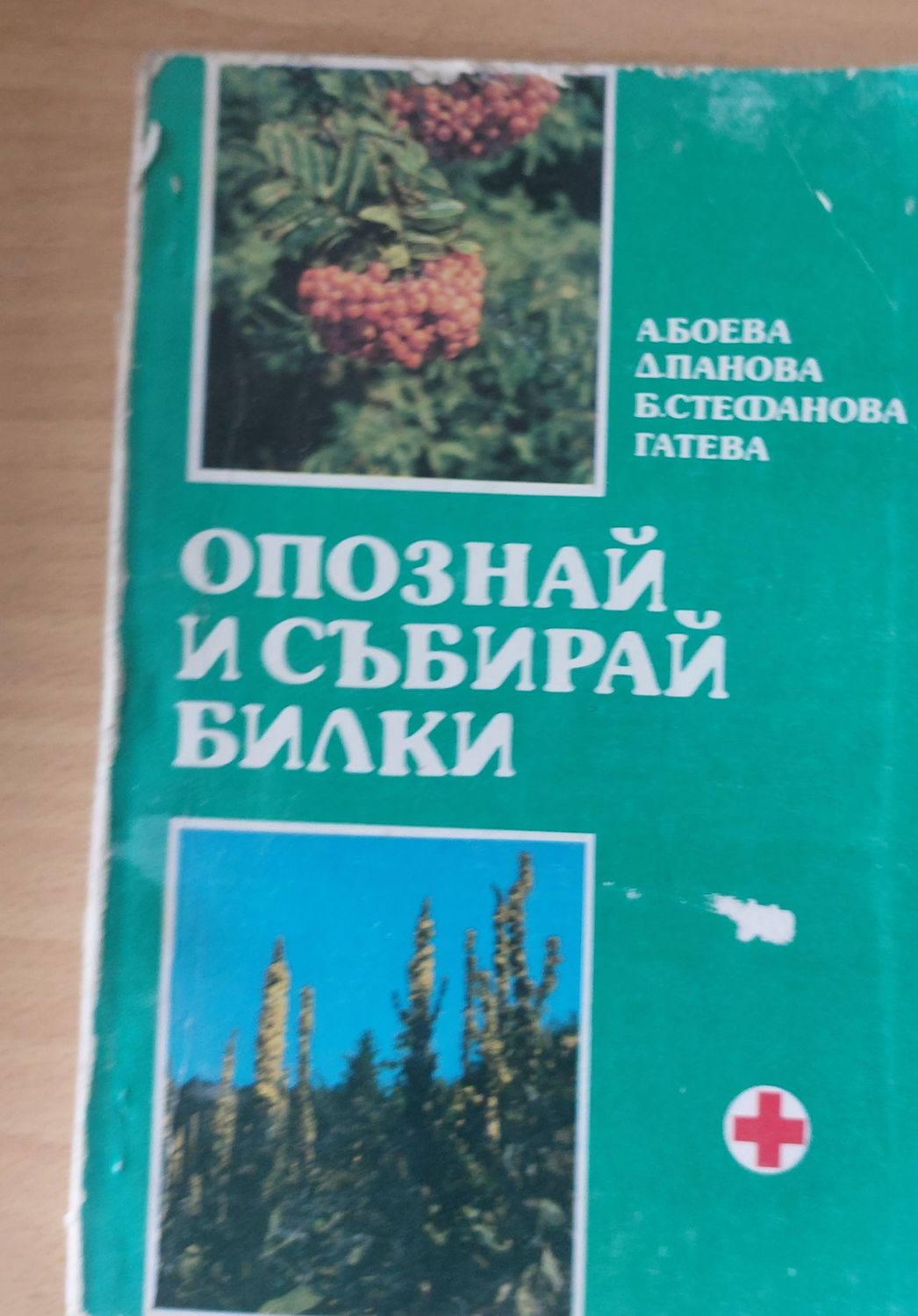 Опознай и събирай билки Опознай и събирай билки