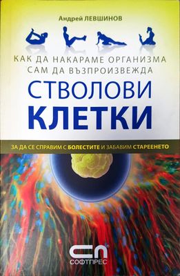 Стволови клетки