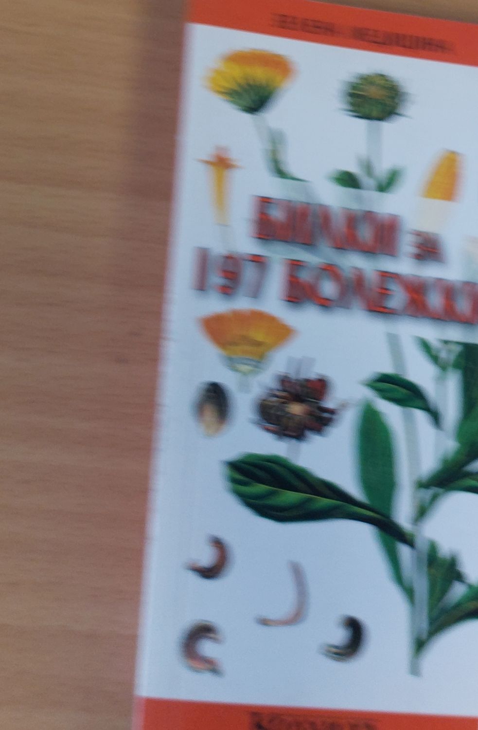 Билки за 197 болежки