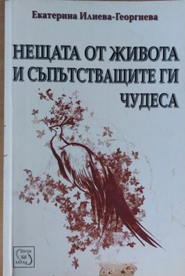 Нещата от живота и съпътстващите ги чудеса