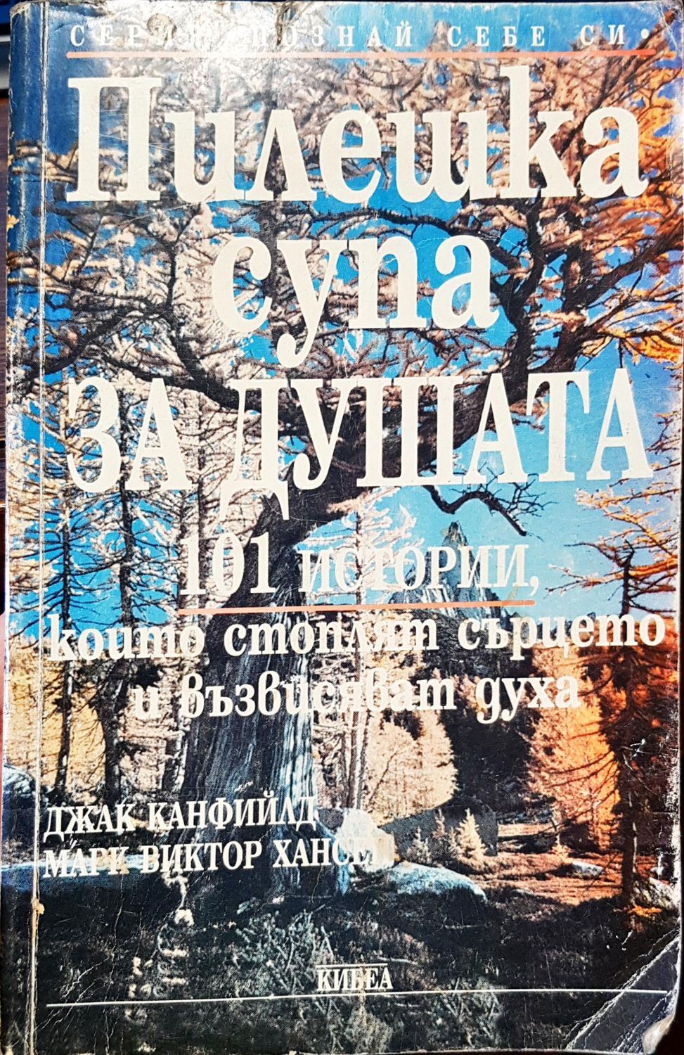 Пилешка супа за душата Пилешка супа за душата