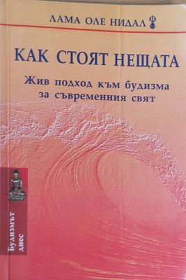 Как стоят нещата, Жив подход към будизма за съвременния свят
