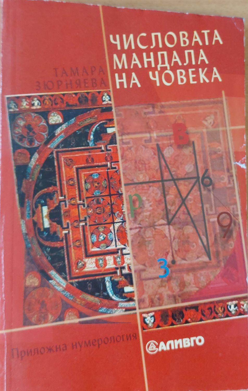 Числовата мандала на човека