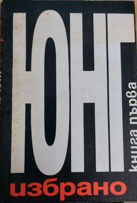 Юнг книга1