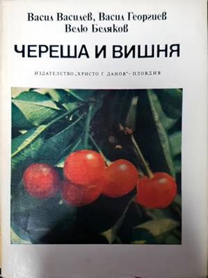 Череша и вишня
