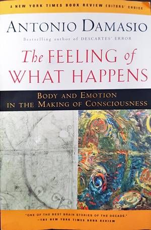 The feeling of what happens