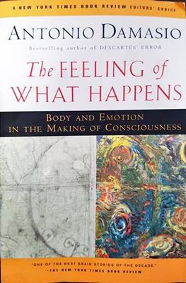 The feeling of what happens