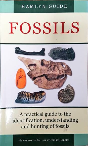 Fossils