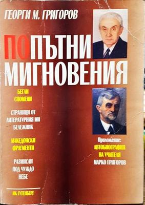 Попътни мигновения