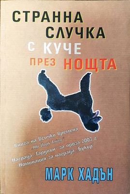 Странна случка с куче през нощта