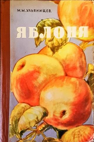 Яблоня