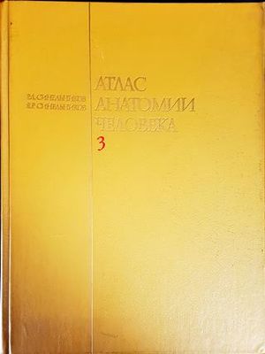 Атлас анатомии человека 3