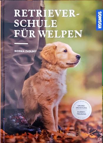 Retrieverschule für Welpen