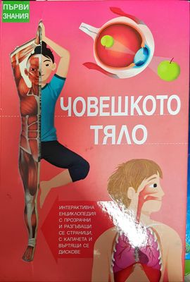 Човешкото тяло