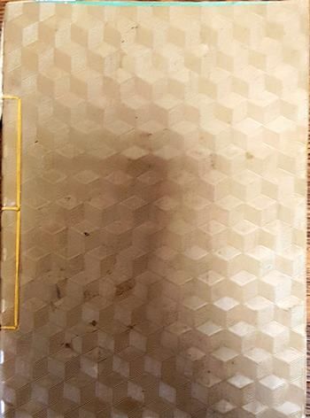 Практическо ръководство по лозарство