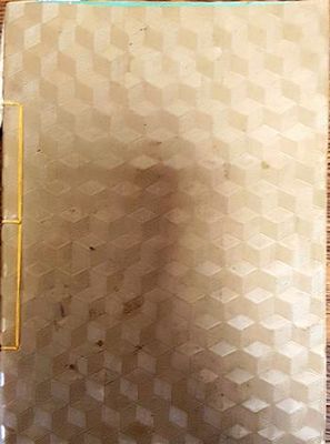 Практическо ръководство по лозарство