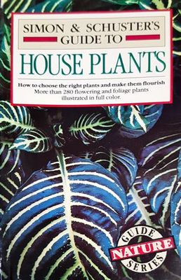 House Plants