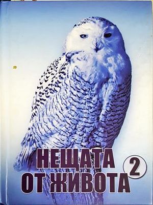 Нещата от живота. Книга 2