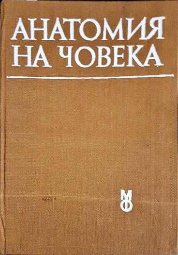 Анатомия на човека