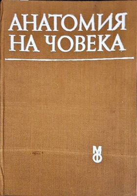 Анатомия на човека